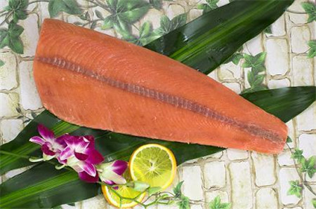 Salmon Series